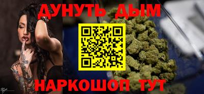сатива Кунгур